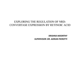 EXPLORING THE REGULATION OF NRD-CONVERTASE EXPRESSION BY RETINOIC ACID KRISHNA MOORTHY SUPERVISOR: DR. ADRIAN PIEROTTI 