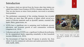 Role of NTFP in Poverty alleviation in Nepal. | PPTX