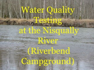 Water Quality
Testing
at the Nisqually
River
(Riverbend
Campground)
 