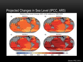 (Source: IPCC, 2013 )
Projected Changes in Sea Level (IPCC, AR5)
 
