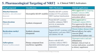 NRF2-KEAP1 Pathway MS.(Pharm) Pharmacology & Toxicology NIPER Hajpur | PDF