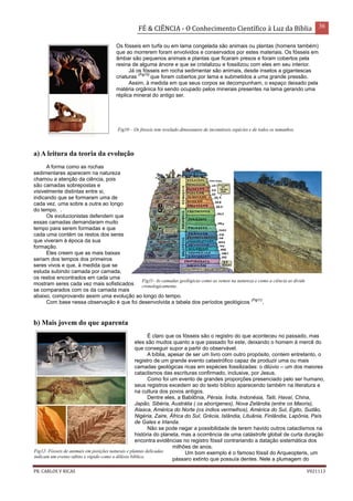 FÉ & CIÊNCIA - O Conhecimento Científico à Luz da Bíblia 36
PR. CARLOS V RICAS V021113
Os fósseis em turfa ou em lama congelada são animais ou plantas (homens também)
que ao morrerem foram envolvidos e conservados por estes materiais. Os fósseis em
âmbar são pequenos animais e plantas que ficaram presos e foram cobertos pela
resina de alguma árvore e que se cristalizou e fossilizou com eles em seu interior.
Já os fósseis em rocha sedimentar são animais, desde insetos a gigantescas
criaturas
(Fig10)
que foram cobertos por lama e submetidos a uma grande pressão.
Assim, à medida em que seus corpos se decompunham, o espaço deixado pela
matéria orgânica foi sendo ocupado pelos minerais presentes na lama gerando uma
réplica mineral do antigo ser.
a) A leitura da teoria da evolução
A forma como as rochas
sedimentares aparecem na natureza
chamou a atenção da ciência, pois
são camadas sobrepostas e
visivelmente distintas entre si,
indicando que se formaram uma de
cada vez, uma sobre a outra ao longo
do tempo. .
Os evolucionistas defendem que
essas camadas demandaram muito
tempo para serem formadas e que
cada uma contém os restos dos seres
que viveram à época da sua
formação.
Eles creem que as mais baixas
seriam dos tempos dos primeiros
seres vivos e que, à medida que se
estuda subindo camada por camada,
os restos encontrados em cada uma
mostram seres cada vez mais sofisticados
se comparados com os da camada mais
abaixo, comprovando assim uma evolução ao longo do tempo.
Com base nessa observação é que foi desenvolvida a tabela dos períodos geológicos
(Fig11)
.
b) Mais jovem do que aparenta
É claro que os fósseis são o registro do que aconteceu no passado, mas
eles são mudos quanto a que passado foi este, deixando o homem à mercê do
que conseguir supor a partir do observável.
A bíblia, apesar de ser um livro com outro propósito, contem entretanto, o
registro de um grande evento catastrófico capaz de produzir uma ou mais
camadas geológicas ricas em espécies fossilizadas: o dilúvio – um dos maiores
cataclismos das escrituras confirmado, inclusive, por Jesus.
Como foi um evento de grandes proporções presenciado pelo ser humano,
seus registros excedem ao do texto bíblico aparecendo também na literatura e
na cultura dos povos antigos.
Dentre eles, a Babilônia, Pérsia, Índia, Indonésia, Taiti, Havaí, China,
Japão, Sibéria, Austrália ( os aborígenes), Nova Zelândia (entre os Maoris),
Alasca, América do Norte (os índios vermelhos), América do Sul, Egito, Sudão,
Nigéria, Zaire, África do Sul, Grécia, Islândia, Lituânia, Finlândia, Lapônia, País
de Gales e Irlanda.
Não se pode negar a possibilidade de terem havido outros cataclismos na
história do planeta, mas a ocorrência de uma catástrofe global de curta duração
encontra evidências no registro fóssil contrariando a datação sistemática dos
milhões de anos.
Um bom exemplo é o famoso fóssil do Arqueopteris, um
pássaro extinto que possuía dentes. Nele a plumagem do
Fig10 – Os fósseis tem revelado dinossauros de incontáveis espécies e de todos os tamanhos.
Fig11- As camadas geológicas como as vemos na natureza e como a ciência as divide
cronologicamente.
Fig12- Fósseis de animais em posições naturais e plantas delicadas
indicam um evento súbito e rápido como o dilúvio bíblico.
 
