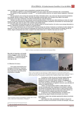 FÉ & CIÊNCIA - O Conhecimento Científico à Luz da Bíblia 39
PR. CARLOS V RICAS V021113
como o cedro, além de possuir ossos comparáveis a grandes barras de ferro.
Ele habitava o pântano e suas dimensões faziam com que o pavor das piores enchentes não o incomodasse.
No capítulo 41 Deus apresenta o Leviatã
(Fig17)
, um animal marítimo que era, ao mesmo tempo majestoso, indomável
e pavoroso.
Ele que possuía uma couraça de escamas tão fortes e fechadas sobre o seu corpo que não era possível penetrá-la
com espada, flechas, lanças ou arpão. Sua forte respiração produzia algo como fumaça e seu hálito e sua saliva
queimavam como fogo e deixavam uma trilha luminescente por onde ele passava.
Também era dono de uma força colossal, possuía grandes dentes, a íris dos seus olhos lembrava os raios do nascer
do sol e era quase impossível ser abatido devido a sua grande ferocidade e resistência. Ele também foi mencionado pelo
salmista Asafe, pelo autor do salmo 104 e também pelo profeta Isaías.
O verso bíblico principal desta lição diz que o leviatã, sendo um animal marinho, foi morto e sua carcaça devorada no
deserto, reforçando novamente o poder de um grande dilúvio.
Como que confirmando isso, ao final de 2011 diversos canais de notícias mostraram um achado em pleno deserto do
Atacama, no Chile. Em meio às obras de duplicação da rodovia Pan-Americana, setenta fósseis de baleias, de até oito
metros, alguns sobrepostos aos outros, surgiram nas areias deste que é o deserto mais seco do mundo
(Fig18)
.
Fig18- As baleias encontradas em pleno deserto do Atacama (Chile).
Mas além do beemote e do leviatã,
outras passagens citam serpentes
voadoras
(Fig19)
e animais que não se
assemelham a nenhuma espécie
viva hoje em dia.
4. ORDEM INVERSA
Com essas informações já se
consegue dimensionar o equívoco
da ciência à luz dos relatos bíblicos,
mas ainda temos mais três pontos
importantes a ressaltar.
O primeiro é o fato de que em diversos lugares algumas
das camadas de rochas apresentam grande variação de
espessura e em outros elas sequer existem. Por exemplo, a
camada do Cretáceo, chamada de camada “K”
(Fig20) 28
possui
meio metro de espessura na Inglaterra mas tem cerca de sete mil
metros na Califórnia (EUA)!
Assim, os evolucionistas medem a idade dessa e das
demais camadas pela maior espessura encontrada e calculam
que tenham se formado à taxa de 30cm a cada mil anos (como
ocorre nas condições dos dias de hoje!) para então obterem os
500 milhões de anos exigidos pela teoria da evolução.
O segundo é que, inexplicavelmente, se observa com
frequência que alguns fósseis encontrados nas rochas
contrariam a ordem das camadas aparecendo abaixo de animais
mais “antigos”.
Além disso há o fato, já abordado na lição 2, de que em
nenhuma camada se encontraram animais de transição, mas que
28
- http://pt.wikipedia.org/wiki/Nível_K-Pg
Fig20- Formação rochosa em Drumheller, Canadá, onde a erosão
expôs o limite entre Cretáceo(base) e Paleogeno 28
.
Fig19 - Como exemplo aos que pensam que a bíblia é fantasiosa ao mencionar animais pouco
conhecidos, há uma espécie de cobra (Chrysopelea paradisi) que salta das árvores e plana até atingir o
chão ou outra árvore. É encontrada no sudeste da Ásia e também na Índia, China e SriLanka.
 