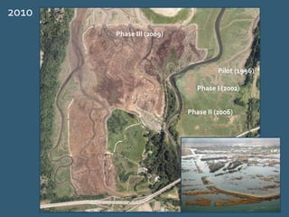 Pilot (1996)
Phase I (2002)
Phase III (2009)
Phase II (2006)
2010
 