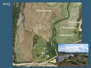 Pilot (1996)
Phase I (2002)
Phase III (2009)
Phase II (2006)
2015
 