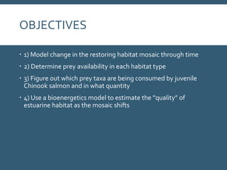 OBJECTIVES
 1) Model change in the restoring habitat mosaic through time
 2) Determine prey availability in each habitat type
 3) Figure out which prey taxa are being consumed by juvenile
Chinook salmon and in what quantity
 4) Use a bioenergetics model to estimate the “quality” of
estuarine habitat as the mosaic shifts
 