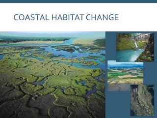 COASTAL HABITAT CHANGE
 