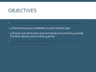 OBJECTIVES
 1) Model change in the restoring habitat mosaic through time
 2) Determine prey availability in each habitat type
 3) Figure out which prey taxa are being consumed by juvenile
Chinook salmon and in what quantity
 4) Use a bioenergetics model to estimate the “quality” of
estuarine habitat as the mosaic shifts
 