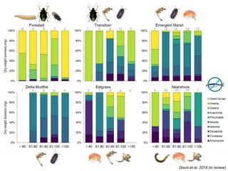 Davis et al. 2018 (in review)
 