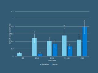 0
0.2
0.4
0.6
0.8
1
1.2
< 60 61-80 81-90 91-100 >100
Stomachenergycontent(kJ)
Size class
Unmarked Hatchery
*
*
 