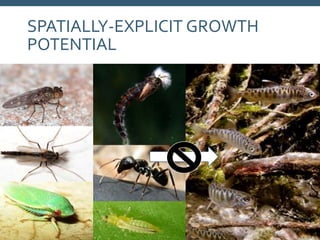 SPATIALLY-EXPLICIT GROWTH
POTENTIAL
 