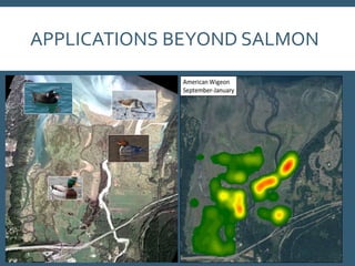 APPLICATIONS BEYOND SALMON
 
