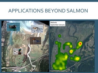 APPLICATIONS BEYOND SALMON
 