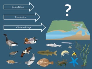 Restoration
?Degradation
Climate change
 