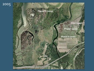 Pilot (1996)
Phase I (2002)
Phase III (2009)
Phase II (2006)
2005
 