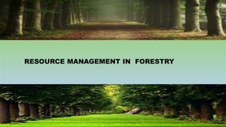 RESOURCE MANAGEMENT IN FORESTRY
 