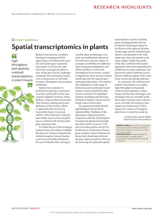 ORIGINAL ARTICLE Giacomello, S. et al. Spatially
resolved transcriptome profiling in model plant
species. Nature Plants http://dx.doi.org/ 10.1038/
nplants.2017.61 (2017)
FURTHER READING Crosetto, N., Bienko, M. &
van Oudenaarden, A. Spatially resolved
transcriptomics and beyond. Nat. Rev. Genet. 16,
57–66 (2015)
high-
throughput
and spatially
resolved
transcriptomics
in plant tissues
ChrisGorgio/iStockphoto/
Thinkstock
Images/Getty
Spatial transcriptomics combines
histological imaging and RNA
sequencing to simultaneously quan-
tify and localize gene expression.
Giacomello et al. have now opti-
mized this technique for plant tis-
sues, which pose specific challenges
compared with mammalian tissues,
such as the presence of cell walls,
vacuoles, chloroplasts and secondary
metabolites.
Spatial transcriptomics is
performed by placing cryosections
on arrays coated with reverse tran-
scription oligo(dT) primers, which
harbour unique positional barcodes.
After fixation, staining and perme-
abilization of the section, mRNA
is captured locally and reverse
transcribed, tissue is removed,
mRNA–cDNA hybrids are released
and, finally, tissue section morphol-
ogy is combined with the barcoded
gene expression data.
To enable the use of this technique
in plant tissues, the authors modified
this protocol. Technical adjustments
included using less intense fixation
to prevent irreversible attachment;
the use of Toluidine blue staining to
visualize plant morphology; enzy-
matic permeabilization optimized
for each tissue type; the capture of
secondary metabolites by additional
steps during permeabilization and
cDNA synthesis; as well as the
development of an enzyme cocktail
to degrade the tissue sections without
interfering with the captured gene
expression information. The method
was validated for a wide range of
herbaceous and woody plant model
systems, which included the inflo-
rescence meristem of Arabidopsis
thaliana, developing and dormant
leaf buds of Populus tremula and the
female cones of Picea abies.
The proposed method showed
high biological and technical
reproducibility. Validation of the
spatial gene expression data by
comparison with the AtGenExpress
Development dataset showed high
specificity (93%), accuracy (71%)
and a low false-positive rate (6.5%).
Furthermore, localization of known
genes and gene clusters obtained via
hierarchical clustering confirmed
the gene expression pattern that was
derived using the optimized spatial
transcriptomics protocol. Indeed,
genes encoding proteins that are
involved in flowering localized in
the flowers at the expected develop-
mental stage, and the identified gene
clusters corresponded to the main
organ types that were present in the
tissue sample. Finally, the quality
of the data combined with analytic
approaches allowed for quantification
of differences in gene expression and
functional analysis (pathway scores)
between different regions of the same
tissue section and among replicates.
In conclusion, the method devel-
oped by Giacomello et al. enables
high-throughput and spatially
resolved transcriptomics in plant
tissues and has clear advantages over
techniques that are currently availa-
ble in plant research (such as fluores-
cence-activated cell sorting or laser
capture microdissection), which
require the creation of transgenic
plant lines or cannot be scaled up.
Liesbet Lieben, Senior Editor,
Nature Reviews Disease Primers
PLANT GENETICS
Spatial transcriptomics in plants
RESEARCH HIGHLIGHTS
NATURE REVIEWS | GENETICS www.nature.com/nrg
Nature Reviews Genetics | Published online 22 May 2017; doi:10.1038/nrg.2017.41
©
2
0
1
7
M
a
c
m
i
l
l
a
n
P
u
b
l
i
s
h
e
r
s
L
i
m
i
t
e
d
,
p
a
r
t
o
f
S
p
r
i
n
g
e
r
N
a
t
u
r
e
.
A
l
l
r
i
g
h
t
s
r
e
s
e
r
v
e
d
.
 