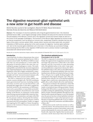 REVIEWS
The digestive neuronal–glial–epithelial unit:
a new actor in gut health and disease
Michel Neunlist, Laurianne Van Landeghem, Maxime M. Mahé, Pascal Derkinderen,
Stanislas Bruley des Varannes and Malvyne Rolli-Derkinderen
Abstract | The monolayer of columnar epithelial cells lining the gastrointestinal tract—the intestinal
epithelial barrier (IEB)—is the largest exchange surface between the body and the external environment.
The permeability of the IEB has a central role in the regulation of fluid and nutrient intake as well as in
the control of the passage of pathogens. The functions of the IEB are highly regulated by luminal as well
as internal components, such as bacteria or immune cells, respectively. Evidence indicates that two cell
types of the enteric nervous system (ENS), namely enteric neurons and enteric glial cells, are potent
modulators of IEB functions, giving rise to the novel concept of a digestive ‘neuronal–glial–epithelial
unit’ akin to the neuronal–glial–endothelial unit in the brain. In this Review, we summarize findings
demonstrating that the ENS is a key regulator of IEB function and is actively involved in pathologies
associated with altered barrier function.
Neunlist, M. et al. Nat. Rev. Gastroenterol. Hepatol. advance online publication 20 November 2012; doi:10.1038/nrgastro.2012.221

Introduction

The intestinal epithelial barrier

A growing body of evidence demonstrates that correct
functioning of the intestinal epithelial barrier (IEB) is
crucial to ensure health. The IEB has to fulfill two major
tasks that can seem paradoxical—it must enable the
absorption of nutrients whilst at the same time con­
trolling the passage of pathogens or toxins. This multi­
tasking ability is permitted by the structural organization
and compartmentalization of the intestinal epithelium.
Regulation of the IEB is highly modulated by compo­
nents of its ‘outer’ microenvironment (microflora, for
example) and ‘inner’ microenvironment (immune cells,
fibroblasts or the enteric nervous system [ENS]).
The ENS is composed of two major cellular com­
ponents: neurons and glial cells. The ENS coordinates
major gastrointestinal functions (including motility,
electrolyte secretion and vascular blood flow), and
emerging data suggest that it is also able to regulate key
functions involved in the maintenance of IEB homeo­
stasis such as paracellular or transcellular permeabil­
ity, intestinal epithelial cell proliferation and wound
healing. In this Review, we summarize current studies
characterizing neuronal and glial effects upon key func­
tions involved in the maintenance and repair of the IEB.
We also present evidence showing that the dysfunc­
tions of the IEB observed in various diseases could be
associated with ENS neuropathies. Finally, we suggest
that targeting the ENS might be of future therapeutic
interest in the treatment of diseases associated with
IEB dysfunctions.

Physiological role of the IEB
The IEB is composed of a monolayer of intestinal epi­
thelial cells organized into invaginations (termed crypts)
and finger-like projections (called villi) in the small
intestine, and into a succession of crypts alternating
with a flat epithelial surface in the colon. Crypts repre­
sent the proliferation compartment whereas the villi (or
the epithelial surface in the colon) are the differentiation
compartment. All intestinal epithelial cells arise from
intestinal stem cells that are located at the base of crypts.
These cells give rise to rapidly dividing daughter cells
or progenitors that migrate along the crypt–villus axis.
Intestinal stem cells give rise to all intestinal epithelial
lineages, that is, enterocytes, enteroendocrine cells and
goblet cells, as well as Paneth cells in the small intestine.1
A key process involved in the maintenance of the IEB
is its ability to repair following infectious or chemical
insults or mechanical injury during peristalsis. Wound
healing of the IEB involves a cascade of processes aimed
at rapidly resealing the epithelial lining. During the early
phases of repair, intestinal epithelial cells adjacent to the
injured surface spread and migrate to cover the denuded
area; this process has been termed epithelial restitution
(reviewed elsewhere2,3). Later in the repair process, pro­
liferation of intestinal epithelial cells occurs to compen­
sate for loss, followed by maturation and differentiation
of these cells.4
IEB functions are the result of an extrinsic as well as
an intrinsic barrier. The extrinsic barrier arises as a result
of the concomitant secretion of electrolytes, mucus and
antimicrobial peptides by enterocytes, goblet cells and
Paneth cells, respectively. Together these secretory prod­
ucts form a sterile mucus layer that is the first line of

Competing interests
The authors declare no competing interests.

NATURE REVIEWS | GASTROENTEROLOGY & HEPATOLOGY 	
© 2012 Macmillan Publishers Limited. All rights reserved

INSERM UMR913,
Institut des Maladies
de l’Appareil Digestif,
Université de Nantes,
CHU Hôtel Dieu, 1
place Alexis Ricordeau,
44093 Nantes, France
(M. Neunlist, L. Van
Landeghem,
M. M. Mahé,
P. Derkinden, S. Bruley
des Varannes, M. RolliDerkinderen).
Correspondence to:
M. Neunlist
michel.neunlist@
univ-nantes.fr

ADVANCE ONLINE PUBLICATION  |  1

 
