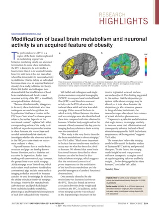 research

highlights
neurogastroenterology

Modification of basal brain metabolism and neuronal
activity is an acquired feature of obesity

T

he prefrontal cortex (PFC) is a
region of the brain that is implicated
in moderating appropriate
behavior, mediating satiety and also meal
termination. In some obese individuals,
the PFC is known to be activated to a
lesser extent than it is in lean individuals;
however, until now, it has not been clear
when this abnormality in neuronal activity
is established (that is, before an individual
becomes obese or as an acquired feature of
obesity). In a study published in Obesity,
David Val-Laillet and colleagues have
demonstrated that modification of basal
brain metabolism and the decreased
neuronal activity of the PFC is most likely
an acquired feature of obesity.
“Because this abnormality disappears
in formerly obese individuals who have
undergone successful weight loss, we
hypothesized that less activation in the
PFC is not ‘hard wired’ in disease-prone
subjects, but rather depends on the
nutritional context,” explains Val-Laillet,
corresponding author of the study. As it
is difficult to perform controlled studies
in obese humans, the researchers used
an adult animal model of obesity to
investigate whether the abnormal activity
in the PFC pre-exists obesity or occurs
once a subject is obese.
Pigs and humans have a similar brain
structure and pigs can develop known
human disorders, such as diabetes and
excessive fat deposition. Rather than
working with conventional pigs, however,
the group chose to use adult minipigs.
Adult minipigs are of limited size, which
makes them much easier to handle than
conventional pigs, and the same medical
imaging tools that are used for humans
can also be used for minipigs. In addition,
the ability to induce obesity in minipigs
by using a Western diet enriched with
carbohydrates and lipids had already
been established and the metabolic,
physiological and behavioral consequences
of such diet-induced obesity reported.

a

b

PFC

CBF
+

PFC
ACC

ACC
–

Three-dimensional representations of the pig brain. a | Anatomical localisation of the prefrontal cortex (PFC) and nucleus
accumbens (Acc). b | Cerebral blood flow (CBF)—positive CBF values indicate activation and negative values indicate
deactivation in obese subjects compared with lean subjects. Courtesy of D. Val-Laillet.

Val-Laillet and colleagues used single
photon emission computed tomography
(SPECT) to compare basal cerebral blood
flow (CBF)—and therefore neuronal
activity—in the PFCs of seven dietinduced obese adult and nine lean adult
minipigs. Other areas of the brain in
which activity differed between the obese
and lean minipigs were also identified and
these data compared with data obtained in
humans. Whether body weight and/or the
amount of food consumed the day prior to
imaging had any relation to brain activity
was also considered.
“This study is the very first to describe
the brain metabolism in obese minipigs,”
says Val-Laillet. “Much more important
is the fact that our results were similar in
many ways to what has been described
in humans. We showed that some brain
functional features described in obese
humans can also be found in dietinduced obese minipigs, which suggests
that the nutritional context is of
prime importance in the modulation
of the basal brain metabolism and the
possible emergence of cerebral functional
abnormalities.”
One anomaly identified by the
researchers was decreased activity in
the PFC. They also found an inverse
association between body weight and
activity in the PFC. In addition, in the
obese minipigs activity was reduced
in the dopaminergic structures of the

nature reviews | gastroenterology & hepatology 	

2011

ventral tegmental area and nucleus
accumbens (Acc). This finding suggested
to the authors that the dopaminergic
system in the obese minipigs may be
altered, as it is in obese humans. As
dopaminergic alterations are present
in drug-addicted individuals, the
researchers speculate about the existence
of a food addiction phenomenon.
“Exposure to a palatable and deleterious
diet might induce, in minipigs similarly
to humans, some kind of habituation and
consequently enhance the level of food
stimulation required to fulfill the hedonic
requirements of the organism,” suggests
Val-Laillet.
The researchers believe the minipig
model will be useful for further studies
of decreased PFC activity and potential
therapies. “In the future, the minipig
model might be used to experiment
with new therapeutic strategies aimed
at regulating eating behavior and body
weight … before being applied to obese
humans,” concludes Val-Laillet.
Natalie J. Wood

Original article Val-Laillet, D. et al. Changes in brain
activity after a diet-induced obesity. Obesity doi:10.1038/
oby.2010.292
Further reading Val-Laillet, D. et al. Chronic vagus nerve
stimulation decreased weight gain, food consumption
and sweet craving in adult obese minipigs. Appetite 55,
245–252 (2010)

volume 8  | MARCH 2011  |  119

 