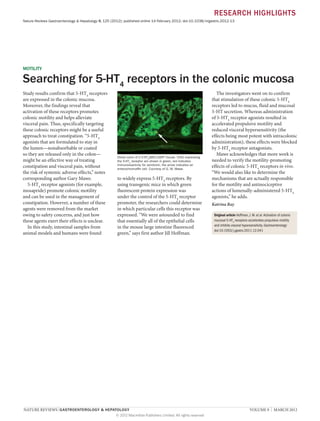 RESEARCH HIGHLIGHTS
Nature Reviews Gastroenterology & Hepatology 9, 125 (2012); published online 14 February 2012; doi:10.1038/nrgastro.2012.13

MOTILITY

Searching for 5-HT4 receptors in the colonic mucosa
Study results confirm that 5-HT4 receptors
are expressed in the colonic mucosa.
Moreover, the findings reveal that
activation of these receptors promotes
colonic motility and helps alleviate
visceral pain. Thus, specifically targeting
these colonic receptors might be a useful
approach to treat constipation. “5-HT4
agonists that are formulated to stay in
the lumen—nonabsorbable or coated
so they are released only in the colon—
might be an effective way of treating
constipation and visceral pain, without
the risk of systemic adverse effects,” notes
corresponding author Gary Mawe.
5-HT4 receptor agonists (for example,
mosapride) promote colonic motility
and can be used in the management of
constipation. However, a number of these
agents were removed from the market
owing to safety concerns, and just how
these agents exert their effects is unclear.
In this study, intestinal samples from
animal models and humans were found

Distal colon of a 5-HT4(BAC)-eGFP mouse. Cells expressing
the 5-HT4 receptor are shown in green, red indicates
immunoreactivity for serotonin, the arrow indicates an
enterochromaffin cell. Courtesy of G. M. Mawe.

to widely express 5-HT4 receptors. By
using transgenic mice in which green
fluorescent protein expression was
under the control of the 5-HT4 receptor
promoter, the researchers could determine
in which particular cells this receptor was
expressed. “We were astounded to find
that essentially all of the epithelial cells
in the mouse large intestine fluoresced
green,” says first author Jill Hoffman.

NATURE REVIEWS | GASTROENTEROLOGY & HEPATOLOGY 	
© 2012 Macmillan Publishers Limited. All rights reserved

The investigators went on to confirm
that stimulation of these colonic 5-HT4
receptors led to mucus, fluid and mucosal
5-HT secretion. Whereas administration
of 5-HT4 receptor agonists resulted in
accelerated propulsive motility and
reduced visceral hypersensitivity (the
effects being most potent with intracolonic
administration), these effects were blocked
by 5-HT4 receptor antagonists.
Mawe acknowledges that more work is
needed to verify the motility-promoting
effects of colonic 5-HT4 receptors in vivo.
“We would also like to determine the
mechanisms that are actually responsible
for the motility and antinociceptive
actions of lumenally-administered 5-HT4
agonists,” he adds.
Katrina Ray
Original article Hoffman, J. M. et al. Activation of colonic
mucosal 5-HT4 receptors accelerates propulsive motility
and inhibits visceral hypersensitivity. Gastroenterology
doi:10.1053/j.gastro.2011.12.041

VOLUME 9  |  MARCH 2012

 