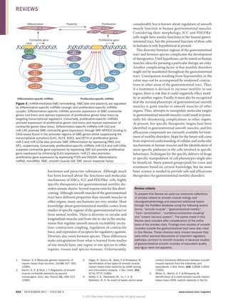 REVIEWS
Differentiation

Plasticity

Proliferation

Contractile gene
CArG

Proliferative gene

SRF

miR-199a

MYOCD

miR-21

miR-214
ELK1

miR-143

PDCD4

SP1

miR-133a
miR-145

PTEN
KLF4

miR-1

OCT4
SOX2

Differentiation-specific miRNAs

PIM1

Proliferation-specific miRNAs

Figure 3 | miRNA-mediated SMC remodelling. SMC fate and plasticity are regulated
by differentiation-specific miRNAs (orange) and proliferation-specific miRNAs
(purple). Differentiation-specific miRNAs promote expression of SMC contractile
genes (red lines) and repress expression of proliferative genes (blue lines) by
targeting transcriptional regulators. Conversely, proliferation-specific miRNAs
promote expression of proliferative genes (red lines) and repress expression of
contractile genes (blue lines). Differentiation-specific miRNAs miR‑143 and
miR‑145 promote SMC contractile gene expression through SRF–MYOCD binding to
CArG boxes found in the promoter regions of SMC genes whilst suppressing the
transcriptional activators ELK1, KLF4, SOX2, and OCT4 of proliferative genes.
miR‑1 and miR‑133a also promote SMC differentiation by repressing PIM1 and
SP1, respectively. Conversely, proliferation-specific miRNAs miR‑214 and miR‑199a
suppress contractile gene expression by repressing SRF, but promote proliferative
gene expression by enhancing ELK1 expression. miR‑21 also promotes
proliferative gene expression by repressing PTEN and PDCD4. Abbreviations:
miRNA, microRNA; SMC, smooth muscle cell; SRF, serum response factor.

hormones and paracrine substances. Although much
has been learned about the functions and molecular
mechanisms of SMCs, ICC and PDGFRα+ cells, highly
specific therapeutics for gastrointestinal motility dis­
orders remain elusive. Several reasons exist for this short­
coming. Although smooth muscles of the gastrointestinal
tract have different properties than smooth muscles in
other organs, many mechanisms are very similar. Most
knowledge about gastrointestinal motility comes from
studies of specific regions of the gastrointestinal tract or
from animal models. There is diversity in circular and
longitudinal muscles and from site to site in the mechanisms that regulate smooth muscle excitability, excitation–contraction coupling, regulation of contractile
force, and expression of receptors for regulatory agonists.
Diversity also exists between species. These differences
make extrapolation from what is learned from studies
of one muscle layer, one region or one species to other
regions, tissues and species tenuous. Unfortunately,
1.	

2.	

Kiehart, D. P Molecular genetic dissection of
.
myosin heavy chain function. Cell 60, 347–350
(1990).
Kamm, K. E.  Stull, J. T. Regulation of smooth
muscle contractile elements by second
messengers. Annu. Rev. Physiol. 51, 299–313
(1989).

642  |  NOVEMBER 2012  |  VOLUME 9

3.	

4.	

considerably less is known about regulation of smooth
muscle function in human gastrointestinal muscles.
Considering their morphology, ICC and PDGFRα +
cells might have similar functions in the human gastro­
intestinal tract, but the presumed function of these cells
in humans is only hypothetical at present.
This diversity between regions of the gastrointestinal
tract and between species complicates the development
of therapeutics. Until hypotheses can be tested on human
muscles, ideas for pursuing a particular therapy are risky.
Another complicating factor is that motility disorders
might not be manifested throughout the gastrointestinal
tract. Constipation resulting from hypomotility in the
colon may not be accompanied by weakened contractions in other areas of the gastrointestinal tract. Thus,
if a treatment is devised to increase motility in one
region, there is risk that it could negatively effect motility in another region. Finally, it must also be recognized
that the normal phenotype of gastrointestinal smooth
muscles is quite similar to smooth muscles of other
organs. Thus, attempts to manipulate molecular targets
in gastrointestinal smooth muscles could result in potentially life-threatening complications in other organs.
At present, few specific therapeutic targets have been
identified in gastrointestinal smooth muscles, and few
efficacious compounds are currently available for treatment of motility disorders. Hope for the future will come
from improved understanding of cellular and molecular
mechanisms in human muscles and the identification of
more specific pathways in the cells involved in specific
behaviours. Techniques for the specific delivery of drugs
or specific manipulation of cell phenotypes might also
be beneficial. Many patient groups push for cures and
treatments based on current knowledge, but far more
basic science is needed to provide safe and efficacious
therapeutics for gastrointestinal motility disorders.
Review criteria
To prepare this Review we used our extensive collections
of articles related to smooth muscle biology and
neurogastroenterology and searched additional topics
through the PubMed database using the following search
terms: “smooth muscle”, “gastrointestinal motility”,
“Ca2+ sensitization”, “excitation-contraction coupling”
and “enteric nervous system”. The points made in this
Review were included after consideration of the entire
texts of the articles cited. Findings from studies of smooth
muscles outside the gastrointestinal tract were also cited
in this Review. These citations were chosen because they
were either seminal discoveries of important regulatory
pathways common to smooth muscles or because studies
of gastrointestinal smooth muscles of equivalent quality
and rigour were not apparent.

Nagai, R., Kuro‑o, M., Babij, P  Periasamy, M.
.
Identification of two types of smooth muscle
myosin heavy chain isoforms by cDNA cloning
and immunoblot analysis. J. Biol. Chem. 264,
9734–9737 (1989).
Kelley, C. A., Takahashi, M., Yu, J. H. 
Adelstein, R. S. An insert of seven amino acids



5.	

confers functional differences between smooth
muscle myosins from the intestines and
vasculature. J. Biol. Chem. 268, 12848–12854
(1993).
White, S., Martin, A. F.  Periasamy, M.
Identification of a novel smooth muscle myosin
heavy chain cDNA: isoform diversity in the S1

www.nature.com/nrgastro
© 2012 Macmillan Publishers Limited. All rights reserved

 
