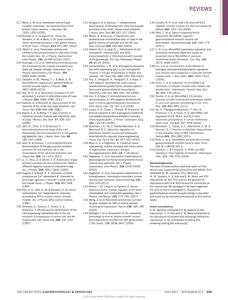 REVIEWS
117.	Ward, S. M. et al. Interstitial cells of Cajal
mediate cholinergic neurotransmission from
enteric motor neurons. J. Neurosci. 20,
1393–1403 (2000).
118.	Beckett, E. A., Horiguchi, K., Khoyi, M.,
Sanders, K. M.  Ward, S. M. Loss of enteric
motor neurotransmission in the gastric fundus
of Sl/Sld mice. J. Physiol. 543, 871–887 (2002).
119.	Albertí, E. et al. Pacemaker activity and
inhibitory neurotransmission in the colon of Ws/
Ws mutant rats. Am. J. Physiol. Gastrointest.
Liver Physiol. 292, G1499–G1510 (2007).
120.	Huizinga, J. D. et al. Deficiency of intramuscular
ICC increases fundic muscle excitability but
does not impede nitrergic innervation. Am. J.
Physiol. Gastrointest. Liver Physiol. 294,
G589–G594 (2008).
121.	Sanders, K. M., Hwang, S. J.  Ward, S. M.
Neuroeffector apparatus in gastrointestinal
smooth muscle organs. J. Physiol. 588,
4621–4639 (2010).
122.	Zhu, M. H. et al. Muscarinic activation of Ca2+activated Cl- current in interstitial cells of Cajal.
J. Physiol. 589, 4565–4582 (2011).
123.	Gabella, G.  Blundell, D. Gap junctions of the
muscles of the small and large intestine. Cell
Tissue Res. 219, 469–488 (1981).
124.	Daniel, E. E.  Wang, Y. F. Gap junctions in
intestinal smooth muscle and interstitial cells
of Cajal. Microsc. Res. Tech. 47, 309–320
(1999).
125.	Seki, K., Zhou, D. S.  Komuro, T.
Immunohistochemical study of the c‑kit
expressing cells and connexin 43 in the guineapig digestive tract. J. Auton. Nerv. Syst. 68,
182–187 (1998).
126.	Seki, K.  Komuro, T. Immunocytochemical
demonstration of the gap junction proteins
connexin 43 and connexin 45 in the
musculature of the rat small intestine. Cell
Tissue Res. 306, 417–422 (2001).
127.	Li, Z., Zhou, Z.  Daniel, E. E. Expression of gap
junction connexin 43 and connexin 43 mRNA in
different regional tissues of intestine in dog.
Am. J. Physiol. 265, G911–G916 (1993).
128.	Vogalis, F.  Goyal, R. K. Activation of small
conductance Ca2+-dependent K+ channels by
purinergic agonists in smooth muscle cells of
the mouse ileum. J. Physiol. 502, 497–508
(1997).
129.	Koh, S. D., Dick, G. M.  Sanders, K. M. Smallconductance Ca2+-dependent K+ channels
activated by ATP in murine colonic smooth
muscle. Am. J. Physiol. 273, C2010–C2021
(1997).
130.	Ishikawa, K., Komuro, T., Hirota, S. 
Kitamura, Y. Ultrastructural identification of the
c‑kit‑expressing interstitial cells in the rat
stomach: a comparison of control and Ws/Ws
mutant rats. Cell Tissue Res. 289, 137–143
(1997).

131.	Horiguchi, K.  Komuro, T. Ultrastructural
observations of fibroblast-like cells forming gap
junctions in the W/WV mouse small intestine.
J. Auton. Nerv. Syst. 80, 142–147 (2000).
132.	Mitsui, R.  Komuro, T. Distribution and
ultrastructure of interstitial cells of Cajal in the
gastric antrum of wild-type and Ws/Ws rats.
Anat. Embryol. 206, 453–460 (2003).
133.	Klemm, M. F.  Lang, R. J. Distribution of Ca2+activated K+ channel (SK2 and SK3)
immunoreactivity in intestinal smooth muscles
of the guinea-pig. Clin. Exp. Pharmacol. Physiol.
29, 18–25 (2002).
134.	Vanderwinden, J. M. et al. Kit-negative fibroblastlike cells expressing SK3, a Ca2+-activated K+
channel, in the gut musculature in health and
disease. Cell Tissue Res. 310, 349–358 (2002).
135.	Iino, S., Horiguchi, K., Horiguchi, S.  Nojyo, Y.
c‑Kit‑negative fibroblast-like cells express
platelet-derived growth factor receptor alpha in
the murine gastrointestinal musculature.
Histochem. Cell. Biol. 131, 691–702 (2009).
136.	Iino, S.  Nojyo, Y. Immunohistochemical
demonstration of c‑Kit‑negative fibroblast-like
cells in murine gastrointestinal musculature.
Arch. Histol. Cytol. 72, 107–115 (2009).
137.	Laube, H. R., Duwe, J., Rutsch, W.  Konertz, W.
Clinical experience with autologous endothelial
cell-seeded polytetrafluoroethylene coronary
artery bypass grafts. J. Thorac. Cardiovasc. Surg.
120, 134–141 (2000).
138.	Beamish, J. A., He, P Kottke-Marchant, K. 
.,
Marchant, R. E. Molecular regulation of
contractile smooth muscle cell phenotype:
implications for vascular tissue engineering.
Tissue Eng. Part B Rev. 16, 467–491 (2010).
139.	Bitar, K. N.  Raghavan, S. Intestinal tissue
engineering: current concepts and future vision
of regenerative medicine in the gut.
Neurogastroenterol. Motil. 24, 7–19 (2012).
140.	Raghavan, S. et al. Successful implantation of
physiologically functional bioengineered mouse
internal anal sphincter. Am. J. Physiol.
Gastrointest. Liver Physiol. 299, G430–G439
(2010).
141.	Raghavan, S. et al. Successful implantation of
bioengineered, intrinsically innervated, human
internal anal sphincter. Gastroenterology 141,
310–319 (2011).
142.	Miano, J. M., Long, X.  Fujiwara, K. Serum
response factor: master regulator of the actin
cytoskeleton and contractile apparatus. Am. J.
Physiol. Cell Physiol. 292, C70–C81 (2007).
143.	Wang, Z. et al. Myocardin and ternary complex
factors compete for SRF to control smooth
muscle gene expression. Nature 428, 185–189
(2004).
144.	Boettger, T. et al. Acquisition of the contractile
phenotype by murine arterial smooth muscle
cells depends on the Mir143/145 gene cluster.
J. Clin. Invest. 119, 2634–2647 (2009).

NATURE REVIEWS | GASTROENTEROLOGY  HEPATOLOGY 	
© 2012 Macmillan Publishers Limited. All rights reserved

145.	Cordes, K. R. et al. miR‑145 and miR‑143
regulate smooth muscle cell fate and plasticity.
Nature 460, 705–710 (2009).
146.	Park, C. et al. Serum response factordependent MicroRNAs regulate
gastrointestinal smooth muscle cell
phenotypes. Gastroenterology 141, 164–175
(2011).
147.	Ji, R. et al. MicroRNA expression signature and
antisense-mediated depletion reveal an
essential role of MicroRNA in vascular
neointimal lesion formation. Circ. Res. 100,
1579–1588 (2007).
148.	Lin, Y. et al. Involvement of microRNAs in
hydrogen peroxide-mediated gene regulation
and cellular injury response in vascular smooth
muscle cells. J. Biol. Chem. 284, 7903–7913
(2009).
149.	Chen, J. et al. Induction of microRNA‑1 by
myocardin in smooth muscle cells inhibits cell
proliferation. Arterioscler. Thromb. Vasc. Biol.
31, 368–375 (2011).
150.	Torella, D. et al. MicroRNA‑133 controls
vascular smooth muscle cell phenotypic switch
in vitro and vascular remodeling in vivo. Circ.
Res. 109, 880–893 (2011).
151.	Xu, N., Papagiannakopoulos, T., Pan, G.,
Thomson, J. A.  Kosik, K. S. MicroRNA‑145
regulates OCT4, SOX2, and KLF4 and
represses pluripotency in human embryonic
stem cells. Cell 137, 647–658 (2009).
152.	Bernstein, E., Caudy, A. A., Hammond, S. M. 
Hannon, G. J. Role for a bidentate ribonuclease
in the initiation step of RNA interference.
Nature 409, 363–366 (2001).
153.	Park, C. et al. MicroRNAs dynamically remodel
gastrointestinal smooth muscle cells. PLoS
ONE 6, e18628 (2011).
154.	Dickson, L.  Finlayson, K. VPAC and PAC
receptors: From ligands to function. Pharmacol.
Ther. 121, 294–316 (2009).
Acknowledgements
The work of these authors and time spent on this
Review was supported by grants from the NIDDK: R37
DK40569 (K. M. Sanders), P01 DK41315
(K. M. Sanders, S. D. Koh and S. M. Ward) and P20
GM103513 (S. Ro). The authors are grateful for
discussions with Dr B. Perrino and his comments on
the manuscript. We apologize if we have neglected
the work of some investigators; research on
gastrointestinal smooth muscle biology is bountiful
and could not be reviewed exhaustively in this limited
space.
Author contributions
K. M. Sanders contributed to all aspects of this
manuscript. S. D. Koh and S. M. Ward contributed to
the discussion of content and reviewing/editing the
manuscript. S. Ro contributed to writing and
reviewing/editing the manuscript.

VOLUME 9  |  NOVEMBER 2012  |  645

 