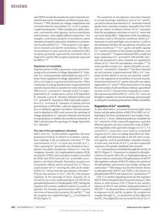 REVIEWS
and TRPC6 encode the nonselective cation channels activated by muscarinic stimulation (as shown by gene deactivation).20 TRP channels are voltage-independent and
activated either by intracellular Ca2+ or by G‑proteincoupled mechanisms.21 Other nonselective cation channels—activated by other agonists, such as neurokinins
and hormones—have slightly different properties.22 For
example, a well-known property of nonselective cation
channels activated by muscarinic stimulation is potentiation by intracellular Ca2+.23 This property is not apparent in channels activated by neurokinins. The effects
of neurokinins in intact muscles are mediated by NK1
receptors (primarily expressed by interstitial cells of
Cajal; ICC), and by NK2 receptors (primarily expressed
by SMCs).24–26

Regulation of excitability
Depolarization of SMCs generates action potentials,
owing to the activation of voltage-dependent Ca2+ channels. Ca2+ action potentials substantially increase [Ca2+]i
levels. Direct regulation of voltage-dependent Ca2+ channels is not typical in gastrointestinal muscles. Other
conductances causing depolarization of gastrointestinal
smooth muscles (that is, nonselective cation channels in
SMCs or Ca2+-activated Cl– channels in ICC) or hyperpolarization (K+ conductances such as ATP-dependent
K+ channels, 2‑pore K+ channels, delayed rectifiers and
Ca2+-activated K+ channels in SMCs and small conductance Ca 2+-activated K + channels in platelet-derived
growth factor α [PDGFRα]+ cells) are targeted by excitatory or inhibitory agonists (see below). Inward currents
tend to depolarize SMCs and increase the openings of
voltage-dependent Ca2+ channels. Outward currents tend
to hyperpolarize or stabilize the membrane potentials of
SMCs and decrease the openings of voltage-dependent
Ca2+ channels.27
The role of the sarcoplasmic reticulum
SMCs store Ca2+ in intracellular organelles, the most
prominent of which, in relation to excitation–contraction coupling, is the sarcoplasmic reticulum. 28,29 The
concentration of Ca 2+ in stores far exceeds [Ca 2+] i.
Thus, opening Ca2+ permeable ion channels in sarcoplasmic reticulum membranes releases Ca 2+ into the
cytoplasm. Inositol 1,4,5-trisphosphate receptors (IP3R;
encoded by ITPR1) and ryanodine receptors (encoded
by RYR2 and RYR3) provide Ca 2+ permeable sarcoplasmic reticulum channels. Ryanodine receptors are
activated by caffeine and by increased [Ca2+]i;30 thus, a
small amount of Ca2+ entering the cells can be amplified by Ca2+ release from the sarcoplasmic reticulum.31
IP3R are also sensitive to [Ca2+]i but IP3 is the primary
regulator of the openings of these channels. IP3 is
formed by the action of phospholipase Cβ (PLCβ) on
phosphatidyl­inositol 4,5 bisphosphate (PIP2) during the
response of G-protein-coupled receptors to a variety of
agonists. For example, gastrointestinal SMCs express
two forms of muscarinic receptors, M2 and M3,32,33 and
M3 receptors are coupled through Gq/11 to activation of
PLCβ (Figure 2).
636  |  NOVEMBER 2012  |  VOLUME 9

The sensitivity of sarcoplasmic reticulum channels
to second messenger substances, such as Ca2+ and IP3,
can lead to interactions between Ca2+ transients (termed
sparks from ryanodine receptors and puffs from IP3R)
and can induce oscillatory release of Ca 2+ transients
from the sarcoplasmic reticulum or even Ca2+ waves that
can travel along SMCs. Alignment of the sarcoplasmic
reticulum close to the plasma membrane allows Ca 2+
transients to reach quite high concentrations (1 μM) in
microdomains between the sarcoplasmic reticulum and
plasma membrane.34,35 Ca2+ sparks and puffs regulate
Ca2+ sensitive proteins in the plasma membrane, such
as ion channels.36–38 In gastrointestinal SMCs, small and
large conductance Ca2+-activated K+ (SK and BK) channels and nonselective cation channels are regulated by
release of Ca2+ from the sarcoplasmic reticulum.39–43 In
some smooth muscles, Ca2+ sparks and puffs can activate Ca2+-activated Cl– channels,41,44 but these channels
are not common in gastrointestinal SMCs. Ca 2+ transients, by their ability to activate ion channels, contribute to the regulation of excitability of smooth muscles.
Interactions between Ca2+ sparks and puffs can induce
regenerative Ca2+ waves 45 These waves seem to run along
the inner surface of cell membranes without a generalized
increase in [Ca2+]i, because there is typically no contractile response associated with Ca2+ waves. Ca2+ waves are
thought to regulate ion channel openings and participate
in setting the membrane potential and cellular excitability.

Regulation of Ca2+ sensitivity
As described above, activation of myosin light chain
kinase and phosphorylation of MLC20 in SMCs is Ca2+
dependent, but force development is not simply a function of [Ca2+]i levels. Additional pathways modulate the
Ca2+ sensitivity of the contractile apparatus, such that
different agonists can elicit contractile events of different magnitudes with equivalent changes in [Ca2+]i.46 A
neutral [Ca2+]i versus force curve (such as a contractile
response to Ca2+ entry via voltage-dependent ion channels) might shift dramatically to the left when excitatory agonists, such as acetylcholine, stimulate muscles;
in such cases, low levels of [Ca2+]i can elicit contractile
responses of far greater amplitude than normal.8
Ca2+ sensitization is controlled through the activity of
MLCP (Figure 2). Contraction is initiated by phosphorylation of myosin (MLC20), so dephosphorylation of
myosin reduces contraction. Phosphorylation of MYPT
(the regulatory subunit of MLCP) reduces the activity of
the phosphatase and sustains cross-bridge cycling and
contraction.47,48 Rho kinase was the first enzyme shown
to phosphorylate MYPT, but ZIPK is also known to
phosphorylate MYPT and enhance Ca2+ sensitization.49,50
CPI‑17 is another signalling molecule that regulates
MLCP. When phosphorylated by protein kinase C, Rho
kinase or other kinases, CPI‑17 binds to the catalytic
subunit of MLCP and inhibits dephosphorylation of
MLC20.8,47 As discussed above, acetylcholine is coupled
to responses via M2 and M3 receptors. M3 receptors are
coupled through Gq/11 to production of diacylglycerol
and IP3. Diacylglycerol and increased levels of [Ca2+]i



www.nature.com/nrgastro
© 2012 Macmillan Publishers Limited. All rights reserved

 
