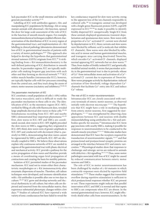 REVIEWS
lack pacemaker ICC in the small intestine and failed to
generate pacemaker activity.93–95
Labelling of ICC with antibodies against c‑Kit, and
manipulating ICC populations by blocking c‑Kit or using
mutant animals with abnormal c‑Kit function, opened
the door for large scale assessment of the role of ICC
in the function of smooth muscle organs. For example,
immunohistochemical techniques enabled efficient characterization of the distribution of ICC in every region of
the gastrointestinal tract, and implementation of c‑Kit
labelling in clinical pathology laboratories demonstrated
loss of ICC in gastrointestinal muscles of patients with
a variety of motor pathologies.96,97 This approach also
helped to develop the hypothesis that gastrointestinal
stromal tumours (GISTs) originate from ICC.98 A striking finding from c‑Kit immunohistochemistry is the
well-defined patterning of ICC distribution in smooth
muscles. In pacemaker regions, ICC are typically multipolar cells making frequent gap junctions with each
other and thus forming an electrical network.99–102 ICC
within muscle bundles (intramuscular ICC), however,
are typically bipolar cells with few processes extending
from the central axis, and they track along the axons of
enteric motor neurons (excitatory and inhibitory).99,100,102
The pacemaker mechanism of ICC
ICC constitute a small population of cells (10%) within
the tunica muscularis, and it is difficult to study the
pacemaker mechanism in these cells in situ. The identification of ICC in the myenteric region (ICC–MY),
verified by filling of cells with fluorescent dyes, revealed
large amplitude electrical slow waves in these cells.103,104
Simultaneous recording from ICC–MY and nearby
SMCs demonstrated four important phenomena:103,105
first, slow waves in ICC–MY and SMCs are coordinated; second, slow waves in ICC–MY slightly preceded
the slow waves in SMCs, suggesting they originated in
ICC–MY; third, slow waves were of greater amplitude in
ICC–MY and conducted with decrement (that is, passively) to SMCs, demonstrating that slow waves cannot
be regenerated by SMCs; and fourth, ICC–MY are electrically coupled to SMCs. We believe these observations
explain why continuous networks of ICC are needed in
regions of the gastrointestinal tract with phasic electrical
and mechanical activity: ICC provide a pathway for the
active propagation of slow waves and therefore provide
a means of coordinating organ-level propagation of
contractions and creating the basis for motility patterns.
Isolation of ICC permitted studies of the pacemaker
mechanism. ICC tend not to retain either their characteristic morphologies or c‑Kit immunoreactivity after
enzymatic dispersions of muscles. Therefore, cell culture
techniques were developed, and immuno-identification
with c‑Kit antibodies is possible after one or two days in
culture.106,107 ICC grow and develop networks and electrical rhythmicity in cell culture, but when cells are dispersed and removed from the extracellular matrix, they
experience substantial phenotypic changes within a few
days.104 Studies of cultured ICC have reported a wide
variety of ionic conductances but have failed to reveal the

key conductance required for slow wave activity, owing
to the apparent loss of the ion channels responsible in
cultured cells.108 A transgenic animal was developed
with a bright green fluorescent protein (GFP), copGFP,
expressed in ICC108,109 to make it possible to identify
freshly dispersed ICC unequivocally. Single ICC from
these animals displayed spontaneous transient depolarization and spontaneous slow waves. Slow waves with
properties of a Ca2+-activated Cl– current were elicited
by depolarization in ICC; these currents and slow waves
were blocked by niflumic acid (a molecule that inhibits
Cl– channels). Slow waves were also blocked by niflumic acid in mouse and human gastrointestinal muscles,
and transgenic mice carrying deactivated Tmem16a,
which encodes Ca2+-activated Cl– channels, displayed
normal appearing ICC networks but no slow waves.110
Thus, from studies of freshly isolated ICC and genetically
modified animal models, it seems that pacemaker activity in the gastrointestinal tract is due to periodic release
of Ca2+ from intracellular stores and activation of a Ca2+activated Cl– current due to expression of Tmem16a.
Slow waves propagate actively by depolarization-induced
activation of low-threshold, voltage-dependent Ca 2+
channels that facilitate Ca2+ entry into ICC and induce
Ca2+ release.
The role of ICC in motor neurotransmission
Intramuscular ICC are closely associated with varicose terminals of enteric motor neurons, as observed
initially with electron microscopy.111,112 The hypothesis that ICC might have a role in mediating inputs
from enteric motor neurons, first suggested by morphologists,111–113 was strengthened by observing close
appositions between ICC and neurons with double
immuno­ abelling using antibodies for c‑Kit and antil
bodies specific for neurons.99 Intramuscular ICC form
gap junctions with nearby SMCs, making it possible for
responses to neuro­ ransmitters to be conducted to the
t
smooth muscle syncytium.87,111,112 Molecular studies have
demonstrated that ICC have the receptors required for
transduction of neurotransmitter signals,114,115 and that
prejunctional and postjunctional synaptic proteins are
arranged at the interface between ICC and enteric varicosities.116 Physiological studies show that responses to
cholinergic and nitrergic nerves are reduced in animals
with defective c‑Kit signalling.99,117,118 Thus, some motor
pathologies associated with loss of ICC might be caused
by reduced communication between enteric motor
neurons and SMCs.
The role of ICC in motor neurotransmission has
been challenged by studies of c‑kit mutants in which
contractile responses were elicited by repetitive field
stimulation.119,120 These studies suggest that transmitter
overflow during repetitive stimulation is sufficient to
elicit postjunctional responses whether ICC are present
or not. These experiments might indicate that parallel
innervation of ICC and SMCs is normal and that inputs
to SMCs can compensate when ICC are absent. In the
normal gastrointestinal tract, however, ICC might effectively shield other cells from neurotransmitters. In the

NATURE REVIEWS | GASTROENTEROLOGY  HEPATOLOGY 	
© 2012 Macmillan Publishers Limited. All rights reserved

VOLUME 9  |  NOVEMBER 2012  |  639

 