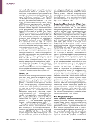 REVIEWS
very small (20 nm) regions between ICC and enteric
nerve varicosities (neuro–ICC junctions), high concentrations of neurotransmitters might be achieved
during neurotransmission, which could enhance the
rate of metabolism of transmitters.112 Thus, when ICC
are absent, transmitters might be available to bind to
receptors of other postjunctional cells. 121 An extensive review describing the controversy about the role
of ICC in motor neurotransmission is available. 121
Future studies to characterize which cell-specific effectors are activated in response to neurotransmission or
which key receptor and effector genes are deactivated
in specific cell-types will be needed to clarify the role
of ICC in neuro­ ransmission. For example, muscarinic
t
agonists stimulate different ion channels in SMCs and
ICC. Postjunctional responses to cholinergic nerve
stimulation in the small intestine have been shown to
be mediated by ion channels expressed by ICC (that is,
Ca2+-activated Cl– channels) but not by SMCs.122 These
data suggest that neurotransmitters released from nerve
terminals might bind to receptors on ICC but not reach
muscarinic receptors expressed by SMCs.
In our view, low resistance, electrical coupling between
ICC and SMCs is essential for the functions of ICC in
gastrointestinal muscles. Ultrastructural studies have
provided evidence that gap junctions exist between
ICC and SMCs;86,87,111,123 however, the junctions between
ICC-MY and SMCs seem to be small and relatively
rare.124 Electrical coupling between these cells is clearly
evident, however, from electrophysiological studies.105
Several studies have investigated the expression of connexin proteins (gap junction proteins). SMCs and ICC
express connexin 43105,125,126 and connexin 40 immunoreactivity has also been observed in the dog.127 Connexin
45 might be specific to gap junctions between ICC.126

PDGFRα+ cells
Purines, one of the inhibitory neurotransmitters released
from enteric motor neurons, are weakly active on gastro­
intestinal SMCs.128,129 A new type of interstitial cell in
gastrointestinal muscles has been shown to respond to
purines.76 Electron microscopy previously described
a non-ICC type of interstitial cell in gastrointestinal
muscles. These cells, referred to as fibroblast-like cells,
are found near terminals of motor neurons and form
gap junctions with SMCs. 130–132 Fibroblast-like cells
express small conductance Ca2+-activated K+ channels,
SK3 (encoded by KCNN3),133–136 which might be activated in purinergic inhibitory responses. These fibroblast-like cells are labelled with antibodies to PDGFRα,
and PDGFRα + cells express SK3 channels and P2Y1
receptors.76,135,136 These proteins are key in purinergic
inhibitory regulation of gastrointestinal motility.76–78
A transgenic animal with enhanced GFP targeted to
PDGFRα+ cells was used to isolate these cells and test
their responsiveness to purine neurotransmitters. 76
Purine neurotransmitters elicited large amplitude K+
currents in PDGFRα+ cells that were blocked by P2Y1
receptor antagonists and SK3 channel antagonists. Under
the same experimental conditions (that is, ionic gradients
640  |  NOVEMBER 2012  |  VOLUME 9

and holding potentials equivalent to resting potentials in
gastrointestinal muscles), purines failed to elicit outward
currents in SMCs.76 These data suggest that the large
amplitude hyperpolarization responses elicited in gastrointestinal muscles by purine neurotransmission (inhibitory junction potentials) are more likely to be meditated
by PDGFRα+ cells than by SMCs.

Integration of behaviour in the SIP syncytium
Gastrointestinal motility, resulting from coordinated
contractions of thousands of SMCs, is a highly integrated
phenomenon (Figure 1). Ionic channels in the plasma
membrane and basal levels of contractile protein phosphorylation set the excitability and contractility of SMCs.
SMCs are electrically coupled, so conductance changes in
one cell or group of cells can influence the excitability of
the broader syncytium of cells. Superimposed on myogenic mechanisms are the behaviours of inter­ titial cells
s
(ICC and PDGFRα+ cells) that are electrically coupled
to the smooth muscle syncytium. Thus, the myogenic
apparatus is an electrical syncytium consisting of SMCs/
ICC/PDGFRα+ cells or the ‘SIP syncytium’. Activation
of ion channels in any of these cells can affect voltagedependent channels in SMCs. For example, activation
of Ca2+-activated Cl– channels in ICC generates inward
currents, producing slow waves. Slow waves conduct to
SMCs producing cycles of depolarization that can activate Ca2+ channels and couple slow waves to smooth
muscle contractions. Superimposed on the summed
activity of smooth muscle and interstitial cells are inputs
from enteric motor neurons. As we have seen, neuro­
transmitters can activate conductances in SMCs and
interstitial cells (for example, Ca2+-activated Cl– channels or K + conductances in ICC or SK3 channels in
PDGFRα+ cells) that enhance (net inward currents) or
reduce (net outward currents) the excitability of the SIP
syncytium. When neurotransmitters bind to receptors of
SMCs, mechanisms of Ca2+ sensitization or desensitization regulate contractile responses. In addition to these
mechanisms are layers of regulation including circulating
hormones, local paracrine substances and inflammatory
mediators. Inputs from some endogenous bioregulatory
molecules can modulate smooth muscle responses such
that otherwise normal behaviours of SMCs, interstitial
cells and motor neurons result in inappropriate motility
(paralysis or hypercontractile states). Such dysmotilities
can adversely affect movements of food, absorption of
nutrients and water, and transit of wastes.

New therapeutic strategies
Tissue engineering of gastrointestinal muscles
Motility disorders can result from developmental failures and disease processes that compromise function
or from surgical interventions that remove portions of
gastrointestinal muscle. Regenerative medicine raises
hope that some of these problems might be corrected
through engineering functional gastrointestinal muscles,
and progress has been made in this field during the past
decade. However, the complex organization and plasticity of cells within the SIP syncytium, vascularization,



www.nature.com/nrgastro
© 2012 Macmillan Publishers Limited. All rights reserved

 