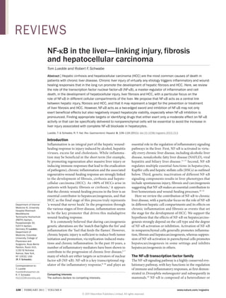 RevIeWS
NF-κB in the liver—linking injury, fibrosis
and hepatocellular carcinoma
Tom Luedde and Robert F. Schwabe
Abstract | Hepatic cirrhosis and hepatocellular carcinoma (HCC) are the most common causes of death in
patients with chronic liver disease. Chronic liver injury of virtually any etiology triggers inflammatory and woundhealing responses that in the long run promote the development of hepatic fibrosis and HCC. Here, we review
the role of the transcription factor nuclear factor-κB (NF-κB), a master regulator of inflammation and cell
death, in the development of hepatocellular injury, liver fibrosis and HCC, with a particular focus on the
role of NF-κB in different cellular compartments of the liver. We propose that NF-κB acts as a central link
between hepatic injury, fibrosis and HCC, and that it may represent a target for the prevention or treatment
of liver fibrosis and HCC. However, NF-κB acts as a two-edged sword and inhibition of NF-κB may not only
exert beneficial effects but also negatively impact hepatocyte viability, especially when NF-κB inhibition is
pronounced. Finding appropriate targets or identifying drugs that either exert only a moderate effect on NF-κB
activity or that can be specifically delivered to nonparenchymal cells will be essential to avoid the increase in
liver injury associated with complete NF-κB blockade in hepatocytes.
Luedde, T. & Schwabe, R. F. Nat. Rev. Gastroenterol. Hepatol. 8, 108–118 (2011); doi:10.1038/nrgastro.2010.213

Introduction

Department of Internal
Medicine III, University
Hospital RheinischWestfälische
Technische Hochschule
(RWTH) Aachen,
Pauwelsstraβe 30,
52074 Aachen,
Germany (T. Luedde).
Department of
Medicine, Columbia
University, College of
Physicians and
Surgeons, Russ Berrie
Pavilion, Room 415,
1150 St Nicholas
Avenue, New York,
NY 10032, USA
(R. F. Schwabe).
Correspondence to:
T. Luedde
tluedde@ukaachen.de
R. F. Schwabe
rfs2102@columbia.edu

Inflammation is an integral part of the hepatic woundhealing response to injury induced by alcohol, hepatitis
viruses, excess fat and cholestasis. While inflammation may be beneficial in the short term (for example,
by promoting regeneration after massive liver injury or
inducing immune responses that lead to the eradication
of pathogens), chronic inflammation and the associated
regenerative wound-healing response are strongly linked
to the development of fibrosis, cirrhosis and hepatocellular carcinoma (HCC). As >80% of HCCs arise in
patients with hepatic fibrosis or cirrhosis,1 it appears
that the chronic wound-healing process in the liver is an
essential contributor to hepatocarcinogenesis, and that
HCC as the final stage of this process truly represents
‘a wound that never heals’. In the progression through
the various stages of liver disease, inflammation seems
to be the key promoter that drives this maladaptive
wound-healing response.
It is commonly believed that during carcinogenesis
genetic alterations are the ‘match that lights the fire’ and
inflammation the ‘fuel that feeds the flames’. However,
chronic hepatic injury is sufficient to induce both tumor
initiation and promotion, via replication-induced mutations and chronic inflammation. In the past 10 years, a
number of inflammatory mediators have been shown to
contribute to the progression of chronic liver disease,2–7
many of which are either targets or activators of nuclear
factor-κB (NF-κB). NF-κB is a key transcriptional regulator of the inflammatory response,8–10 and plays an
Competing interests
The authors declare no competing interests.

essential role in the regulation of inflammatory signaling
pathways in the liver. First, NF-κB is activated in virtually every chronic liver disease, including alcoholic liver
disease, nonalcoholic fatty liver disease (NAFLD), viral
hepatitis and biliary liver disease.11–17 Second, NF-κB
regulates multiple essential functions in hepatocytes,
Kupffer cells and hepatic stellate cells (HSCs) as outlined
below. Third, genetic inactivation of different NF-κB
signaling components results in liver phenotypes that
include spontaneous injury, fibrosis and carcinogenesis
suggesting that NF-κB makes an essential contribution to
liver homeostasis and wound-healing processes.18–21
Here we review the contribution of NF-κB to chronic
liver disease, with a particular focus on the role of NF-κB
in different hepatic cell compartments and its effects on
chronic inflammation and fibrosis as events that set
the stage for the development of HCC. We support the
hypothesis that the effects of NF-κB on hepatocarcinogenesis strongly depend on the cell type and the degree
of NF-κB activation or inhibition. Activation of NF-κB
in nonparenchymal cells generally promotes inflammation, fibrosis and hepatocarcinogenesis, whereas suppression of NF-κB activation in parenchymal cells promotes
hepato carcinogenesis in some settings and inhibits
hepatocarcinogenesis in others.

The NF-κB transcription factor family

The NF-κB signaling pathway is a highly conserved evolutionary pathway, with key functions in the regulation
of immune and inflammatory responses, as first demonstrated in Drosophila melanogaster and subsequently in
mammals.10 NF-κB is composed of a heterodimer or

108 | FEBRUARY 2011 | volUmE 8

www.nature.com/nrgastro
© 2011 Macmillan Publishers Limited. All rights reserved

 