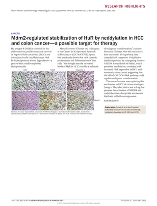 RESEARCH HIGHLIGHTS
Nature Reviews Gastroenterology & Hepatology 9, 4 (2012); published online 13 December 2011; doi:10.1038/nrgastro.2011.241

CANCER

Mdm2-regulated stabilization of HuR by neddylation in HCC
and colon cancer—a possible target for therapy
Hu antigen R (HuR) is essential for the
differentiation, proliferation and survival
of hepatocellular carcinoma (HCC) and
colon cancer cells. Neddylation of HuR
by Mdm2 protects it from degradation—a
process that could be exploited
therapeutically.
ASH

Maria Martinez-Chantar and colleagues,
at the Center for Cooperative Research
in Biosciences (CIC bioGUNE), Spain,
had previously shown that HuR controls
proliferation and differentiation of liver
cells. “We thought that the increased
levels of HuR in HCC could be a hallmark

NASH

Hepatitis C

HuR

Mdm2

Sections of human hepatocellular carcinoma of different etiologies—alcoholic steatohepatitis (ASH), nonalcoholic
steatohepatitis (NASH) and hepatitis C—stained with antibodies to Mdm2 and HuR. Courtesy of M. Martinez-Chantar.

NATURE REVIEWS | GASTROENTEROLOGY & HEPATOLOGY 	
© 2011 Macmillan Publishers Limited. All rights reserved

of malignant transformation,” explains
Martinez-Chantar. Now the researchers
have uncovered a key pathway that
controls HuR expression. Neddylation
stabilizes proteins by conjugating them to
NEDD8. Raised levels of Mdm2, which
promotes neddylation, correlated with
increased HuR expression in HCC and
metastatic colon cancer, suggesting that
the Mdm2–NEDD8–HuR pathway could
regulate malignant transformation.
The researchers are now exploring this
mechanism in HCC of various etiologies
(image). They also plan to test a drug that
prevents the activation of NEDD8 and
could, therefore, disrupt the mechanism
that leads to HuR overexpression.
Andy McLarnon
Original article Embade, N. et al. Mdm2 regulates
HuR stability in human liver and colon cancer through
neddylation. Hepatology doi:10.1002/hep.24795

VOLUME 9  |  JANUARY 2012

 