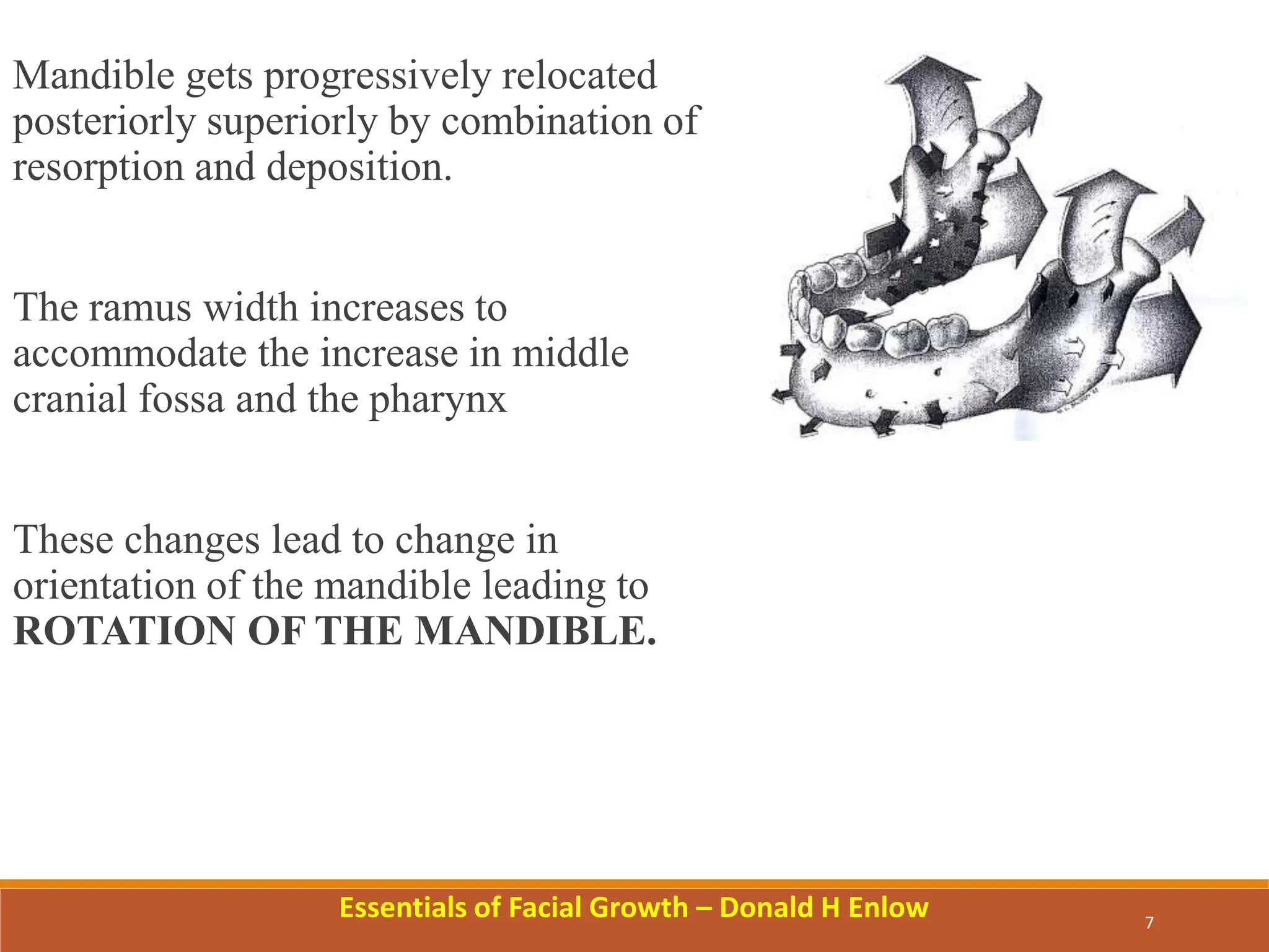 Growth Rotation NR | PPTX