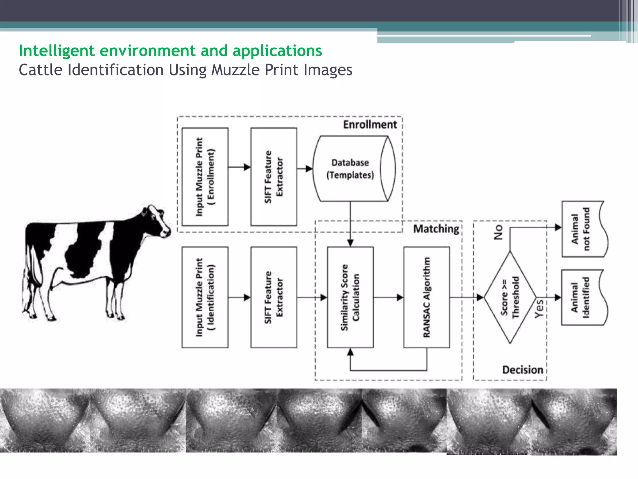 Intelligent environment and applications 
Cattle Identification Using Muzzle Print Images 
 
