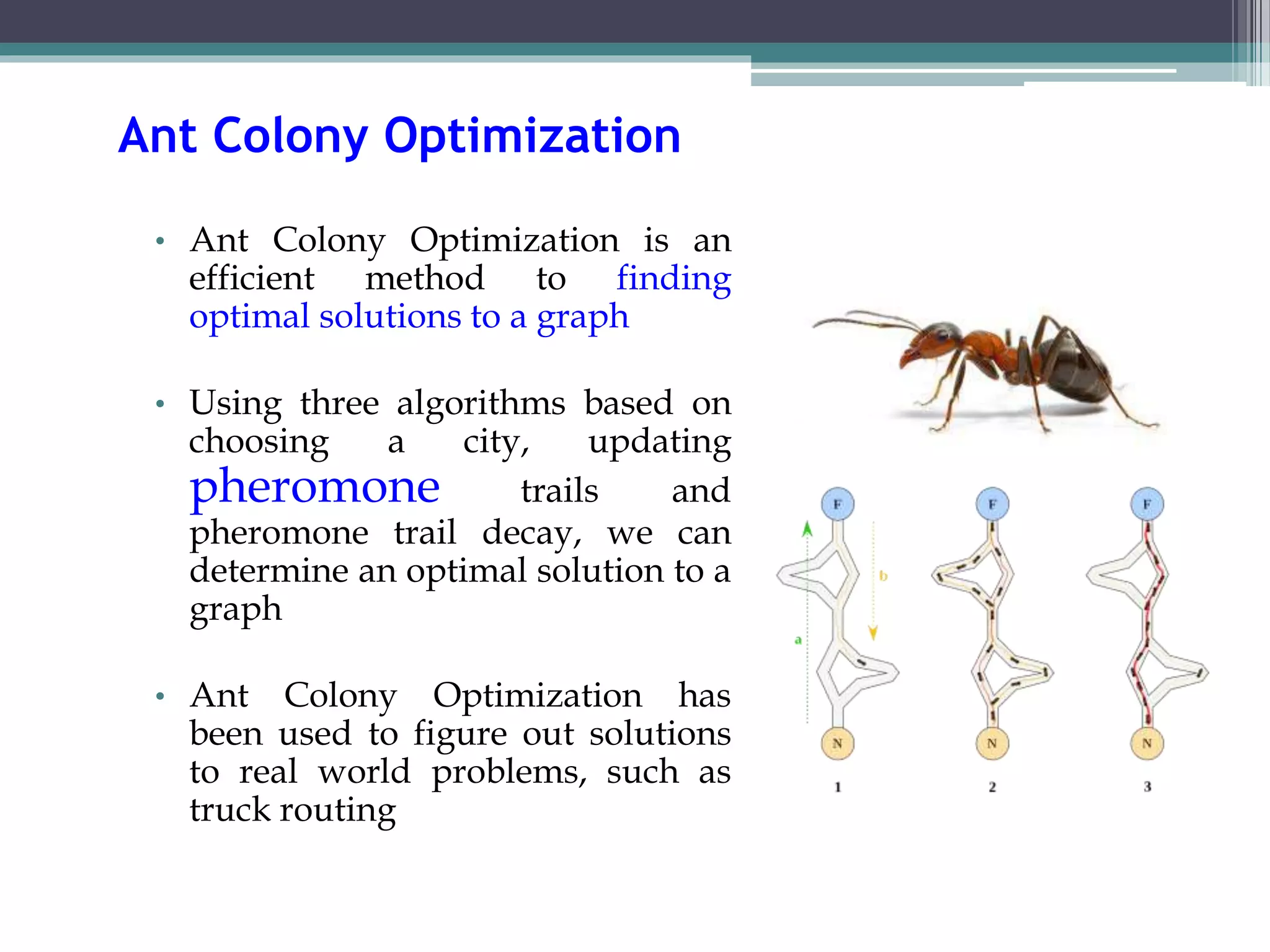 Ant Colony Optimization 
• Ant Colony Optimization is an 
efficient method to finding 
optimal solutions to a graph 
• Using three algorithms based on 
choosing a city, updating 
pheromone trails and 
pheromone trail decay, we can 
determine an optimal solution to a 
graph 
• Ant Colony Optimization has 
been used to figure out solutions 
to real world problems, such as 
truck routing 
 