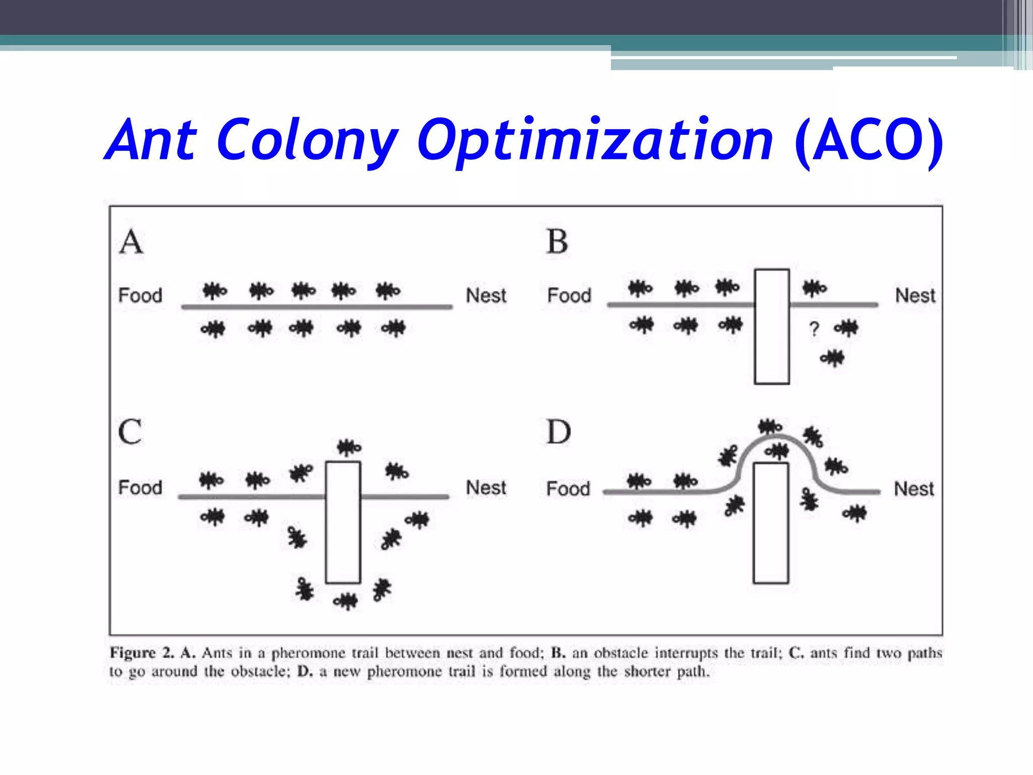 Ant Colony Optimization (ACO) 
 