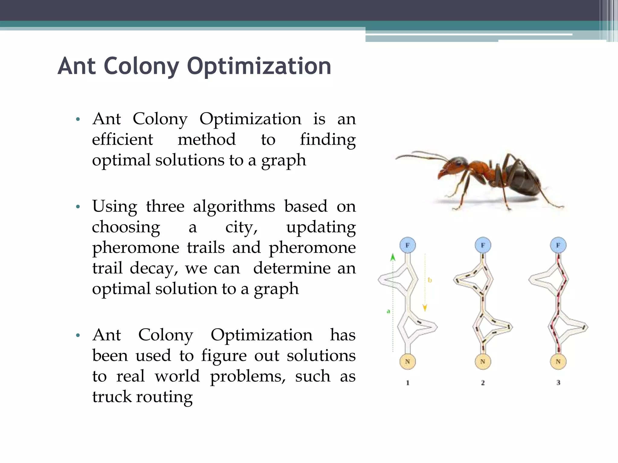 Ant Colony Optimization 
• Ant Colony Optimization is an 
efficient method to finding 
optimal solutions to a graph 
• Using three algorithms based on 
choosing a city, updating 
pheromone trails and pheromone 
trail decay, we can determine an 
optimal solution to a graph 
• Ant Colony Optimization has 
been used to figure out solutions 
to real world problems, such as 
truck routing 
 
