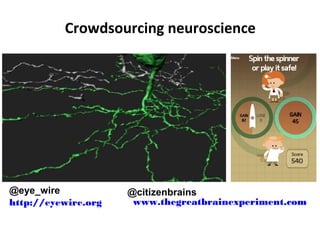 Neuroscience Asu Major Map How Can Citizen Science Achieve For Neuroscience What It's Achieved F…