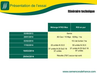 Présentation de l’essai
Itinéraire technique
Mélange N’RGI Max RGI en pur
03/09/2013 Semis
29/01/2014 80 Cao / 10 Mgo 620kg / ha
03/02/2014 15 t de fumier / ha
17/02/2014 20 unités N 33,5 50 unités N 33,5
18/03/2014
37 unités N 25 So3 18
57 unités
37 unités N 25 So3 18
87 unités
29/04/2014
Récolte (750°) aucun épi sorti
 