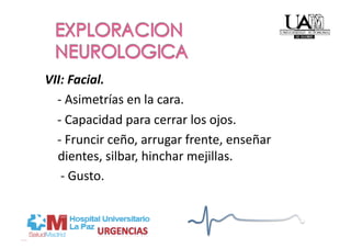 VII: Facial. 
    ‐ Asimetrías en la cara. 
    ‐ Capacidad para cerrar los ojos. 
    ‐ Fruncir ceño, arrugar frente, enseñar 
    dientes, silbar, hinchar mejillas. 
     ‐ Gusto. 
 
