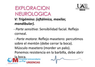     V: Trigémino: (o=álmico, maxilar, 
    mandibular). 
   ‐ Parte sensi4va: Sensibilidad facial. Reﬂejo 
    corneal. 
    ‐ Parte motora: Reﬂejo masetero: percuPmos 
    sobre el mentón (debe cerrar la boca). 
    Músculo masetero (morder un palo). 
    Ponemos resistencia en la barbilla, debe abrir 
    la boca. 
 