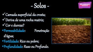 - Solos -
✓Camada superficial da crosta;
✓Deriva de uma rocha matriz;
✓Cor e dureza?
•Permeabilidade: Penetração
d‘água;
•Fertilidade: Rico ou pobre;
•Profundidade: Raso ou Profundo.
 