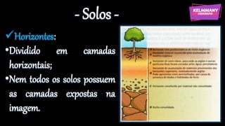 - Solos -
✓Horizontes:
•Dividido em camadas
horizontais;
•Nem todos os solos possuem
as camadas expostas na
imagem.
 