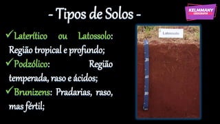 - Tipos de Solos -
✓Laterítico ou Latossolo:
Região tropical e profundo;
✓Podzólico: Região
temperada, raso e ácidos;
✓Brunizens: Pradarias, raso,
mas fértil;
 