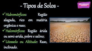 - Tipos de Solos -
✓Hidromórficos: Região
alagada, rico em matéria
orgânica e raso;
✓Halomórficos: Região árida
ou semi-arida, pobre e salino;
✓Litossolo ou Altitude: Raso,
inclinado.
 