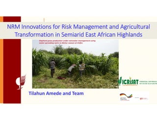 NRM Innovations for Risk Management and Agricultural
Transformation in Semiarid East African Highlands
Tilahun Amede and Team 
 