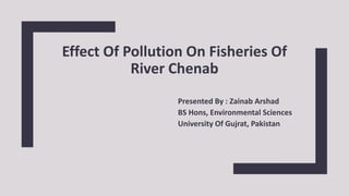 Effect Of Pollution On Fisheries Of
River Chenab
Presented By : Zainab Arshad
BS Hons, Environmental Sciences
University Of Gujrat, Pakistan
 