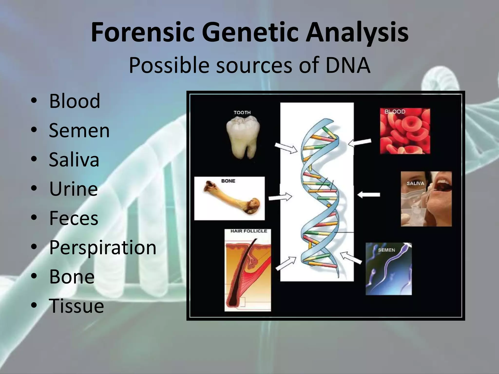 Forensic Sciences (DNA Fingerprinting) STR Typing - Case Report | PPT