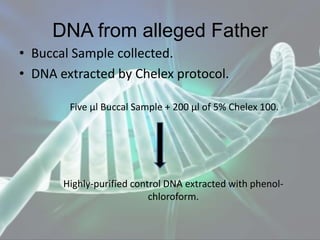 DNA from alleged Father
• Buccal Sample collected.
• DNA extracted by Chelex protocol.
Five µl Buccal Sample + 200 µl of 5% Chelex 100.
Highly-purified control DNA extracted with phenol-
chloroform.
 