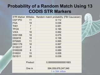 STR Marker #Alleles Random match probability (FBI Caucasian)
CSF1PO 11 0.112
FGA 19 0.036
TH01 7 0.081
TPOX 7 0.195
VWA 10 0.062
D3S1358 10 0.075
D5S818 10 0.158
D7S820 11 0.065
D8S1179 10 0.067
D13S317 8 0.085
D16S539 8 0.089
D18S51 15 0.028
D21S11 20 0.039
Product 0.000000000000001683
One in 594,059,679,247,540
1 in 594 trillion
Probability of a Random Match Using 13
CODIS STR Markers
 