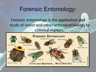 Forensic Entomology:
Forensic entomology is the application and
study of insect and other arthropod biology to
criminal matters.
 